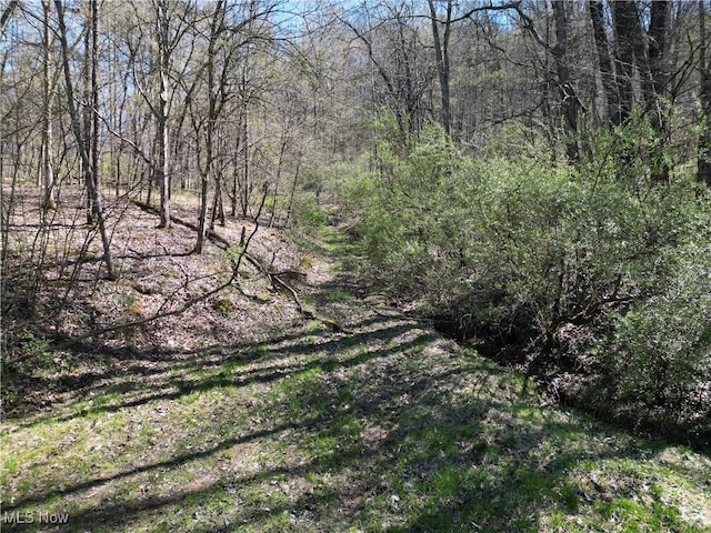 Rush Run Rd, Arnoldsburg, WV 25234