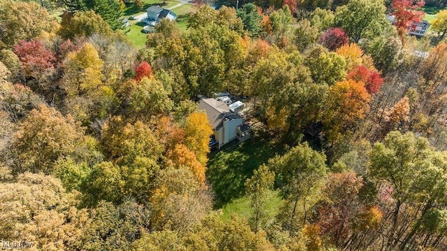 13109 Edison St NE, Alliance, OH 44601 - birds eye view of property featuring a forest view