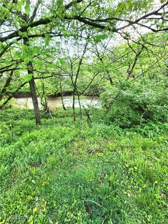 view of nature