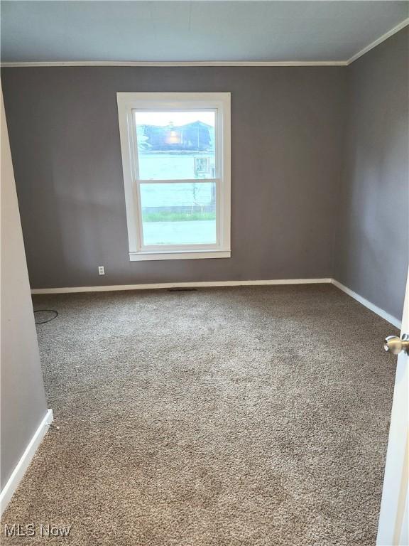 carpeted spare room with crown molding and baseboards