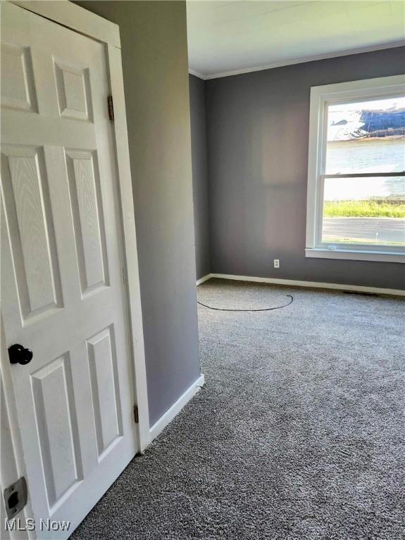 337 Foster Ave, Cambridge, OH 43725 - spare room featuring carpet, baseboards, and ornamental molding