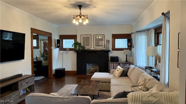 living room featuring an inviting chandelier, ornamental molding, a healthy amount of sunlight, and wood finished floors
