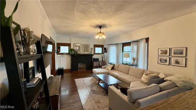 living room with a textured ceiling, ornamental molding, a fireplace, and dark wood-style floors