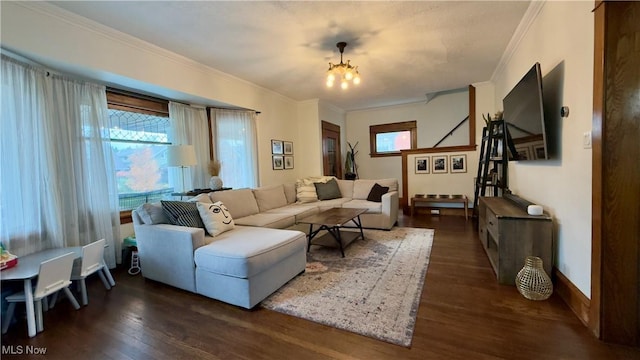 living room featuring dark wood-style flooring, a chandelier, and crown molding