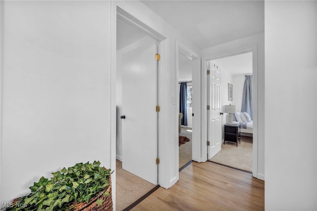 corridor with light wood finished floors and light carpet