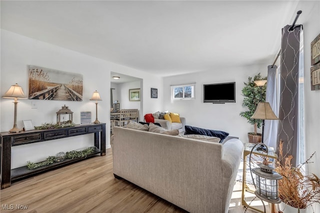 living room featuring wood finished floors