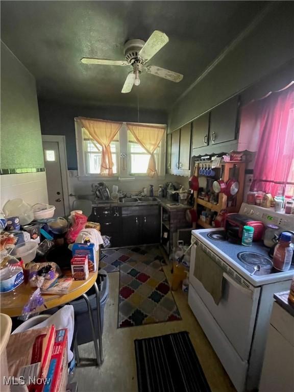 kitchen with white electric stove and a ceiling fan