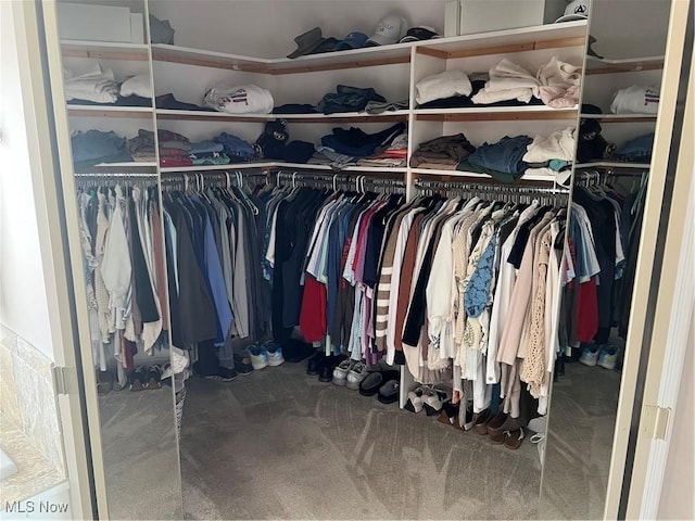 7966 Meadowbrooke Trl, Poland, OH 44514 - spacious closet featuring carpet flooring