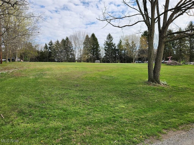 view of yard