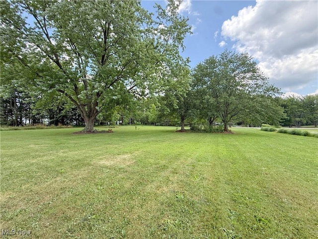 11158 Detwiler Rd, Columbiana, OH 44408 - photo 42