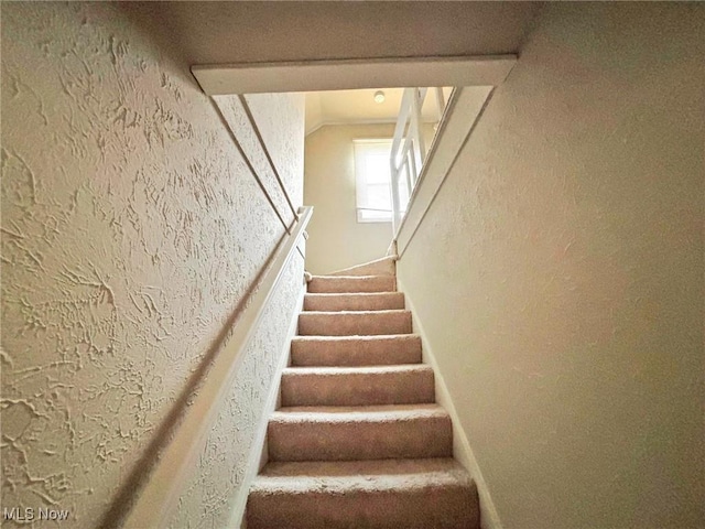 stairway with a textured wall