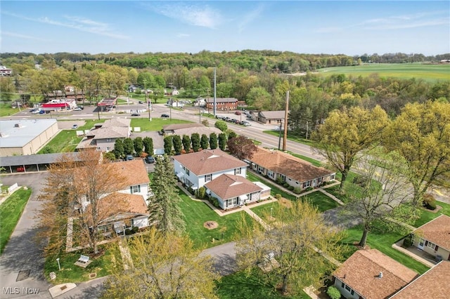 drone / aerial view