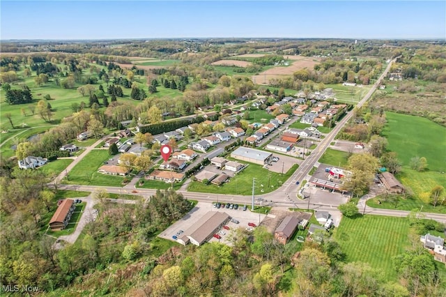 bird's eye view