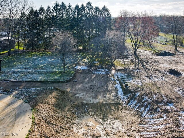 243 S Munroe Rd, Tallmadge, OH 44278 - photo 5