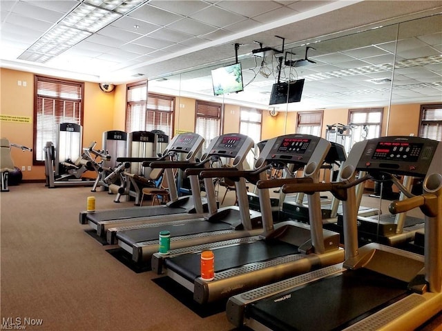 exercise room with a paneled ceiling and carpet floors