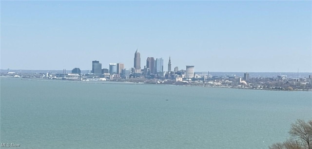 view of water feature with a city view
