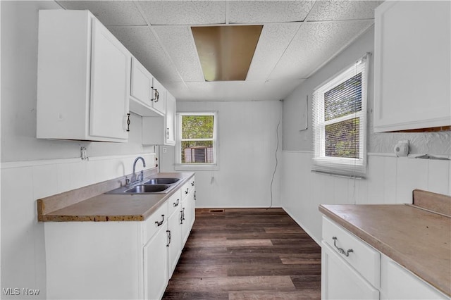 kitchen featuring a drop ceiling, wainscoting, dark wood-style floors, and a sink