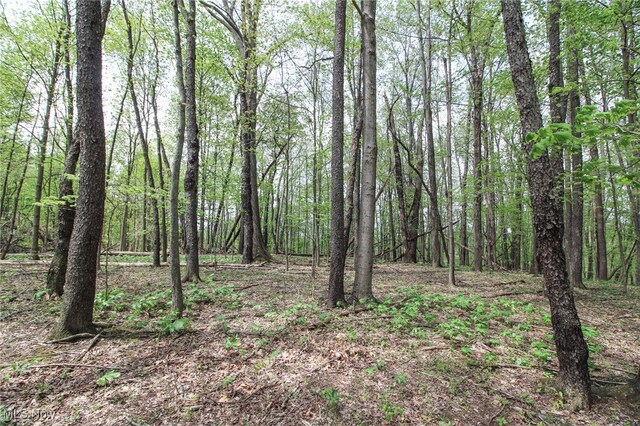 0 Norris Rd, Tippecanoe, OH 44699