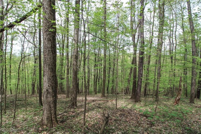 0 Norris Rd, Tippecanoe, OH 44699