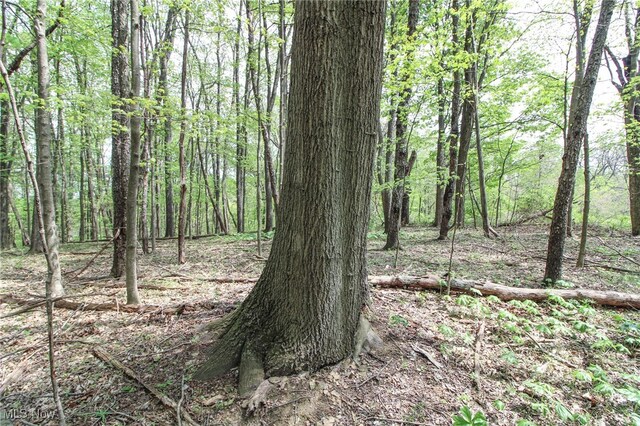 0 Norris Rd, Tippecanoe, OH 44699