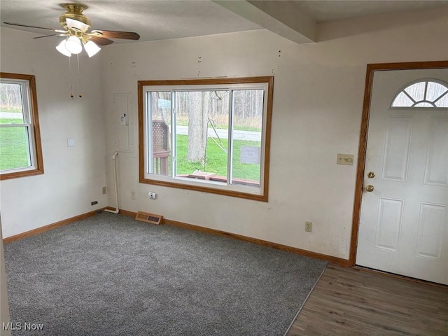 foyer entrance featuring ceiling fan, visible vents, baseboards, and a healthy amount of sunlight