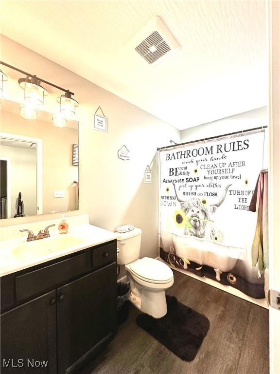 11149 Rankin Rd, Glenford, OH 43739 - full bathroom featuring wood finished floors, vanity, toilet, and a shower with curtain