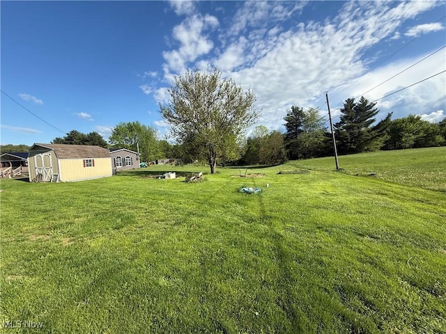 view of yard featuring an outdoor structure and a storage unit