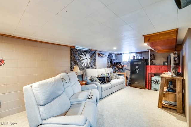 396 2nd St NE, Carrollton, OH 44615 - view of carpeted living room