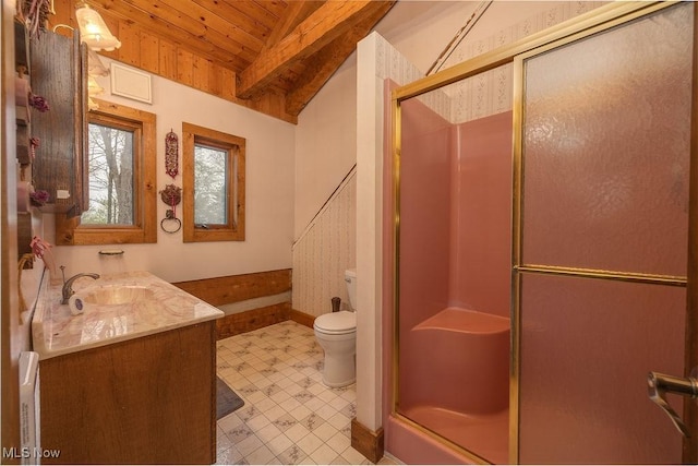 6570 State Route 339, Vincent, OH 45784 - full bathroom featuring toilet, lofted ceiling with beams, wooden ceiling, and a shower stall