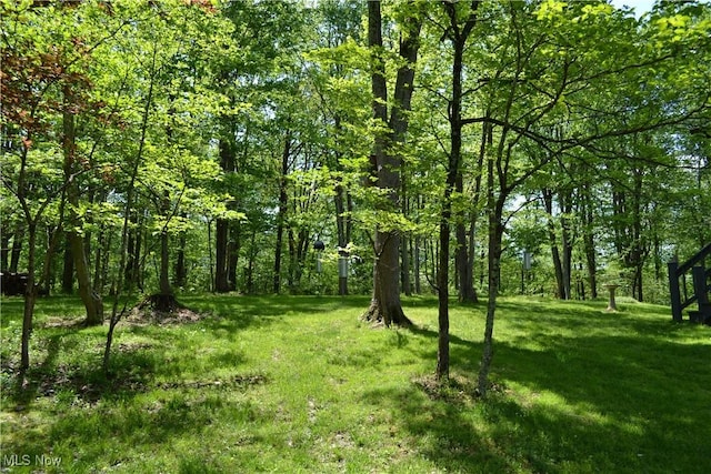 6570 State Route 339, Vincent, OH 45784 - view of local wilderness