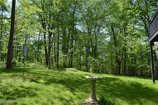 6570 State Route 339, Vincent, OH 45784 - view of yard
