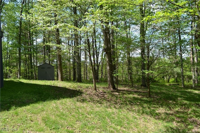 6570 State Route 339, Vincent, OH 45784 - view of yard with an outbuilding and a storage unit