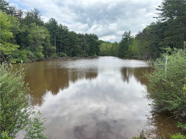 212 Rost Rd, Walker, WV 26180 - water view featuring a forest