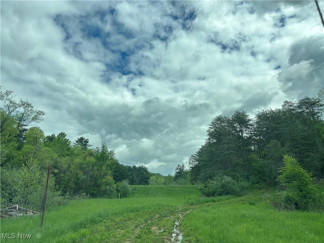 212 Rost Rd, Walker, WV 26180 - view of woods