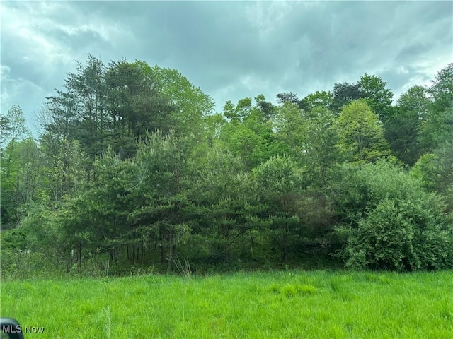 212 Rost Rd, Walker, WV 26180 - view of wooded area
