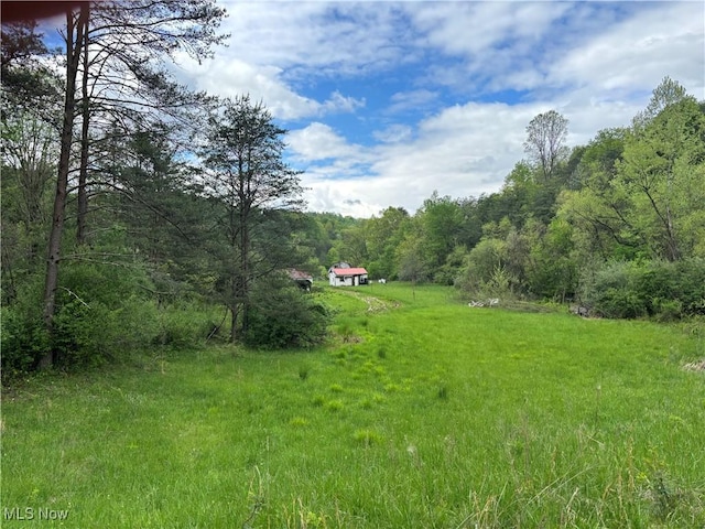 212 Rost Rd, Walker, WV 26180 - view of yard with a forest view