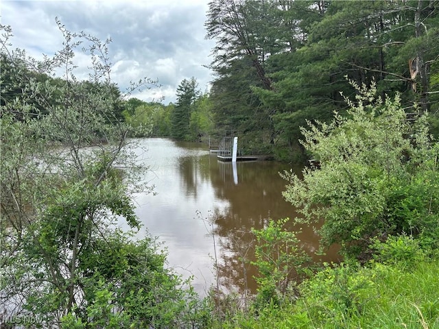 212 Rost Rd, Walker, WV 26180 - water view featuring a forest