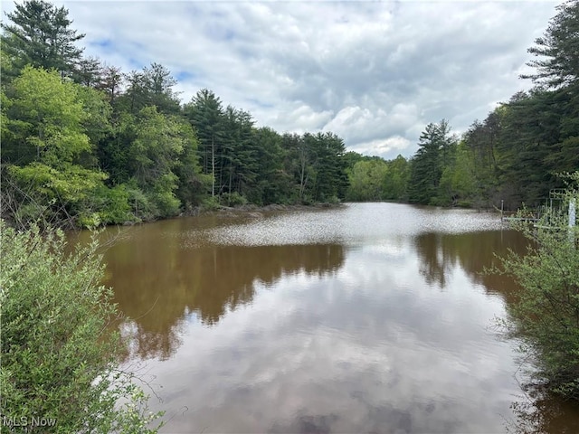 212 Rost Rd, Walker, WV 26180 - water view with a heavily wooded area