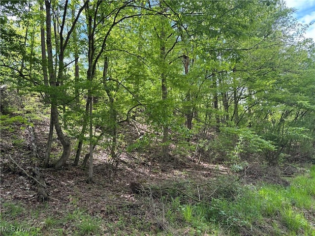 212 Rost Rd, Walker, WV 26180 - view of local wilderness