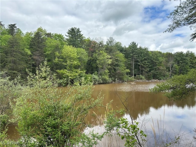 212 Rost Rd, Walker, WV 26180 - water view with a heavily wooded area