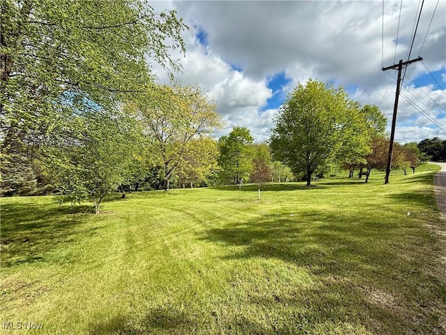 5103 Brocade Rd SE, Amsterdam, OH 43903 - view of grassy yard