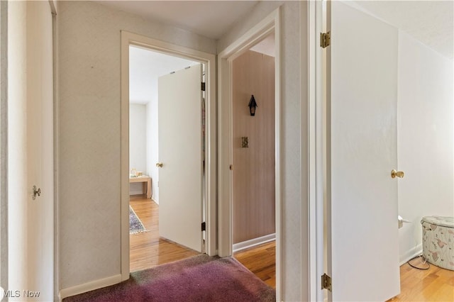8295 Mentorwood Dr, Mentor, OH 44060 - hallway featuring wood finished floors