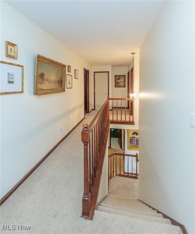 3286 Marks Rd, Medina, OH 44256 - stairs featuring carpet flooring and baseboards