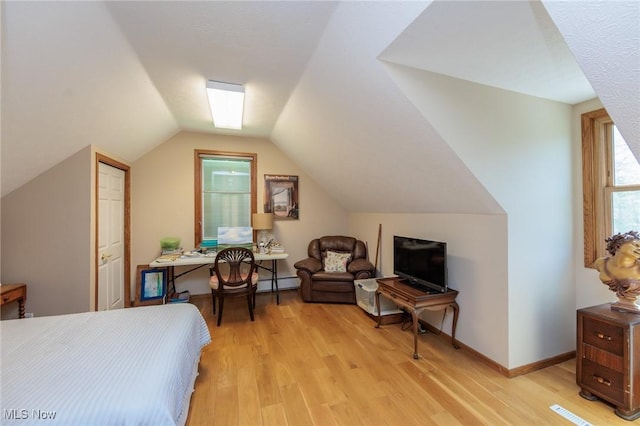 3286 Marks Rd, Medina, OH 44256 - bedroom featuring a baseboard radiator, light wood finished floors, lofted ceiling, and baseboards
