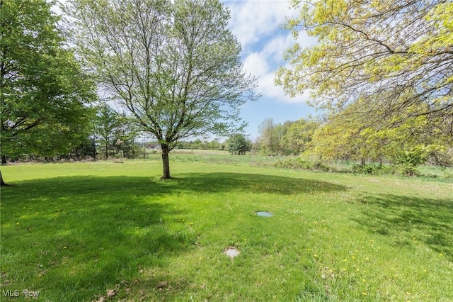 3286 Marks Rd, Medina, OH 44256 - view of green lawn