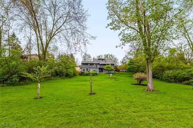 view of grassy yard
