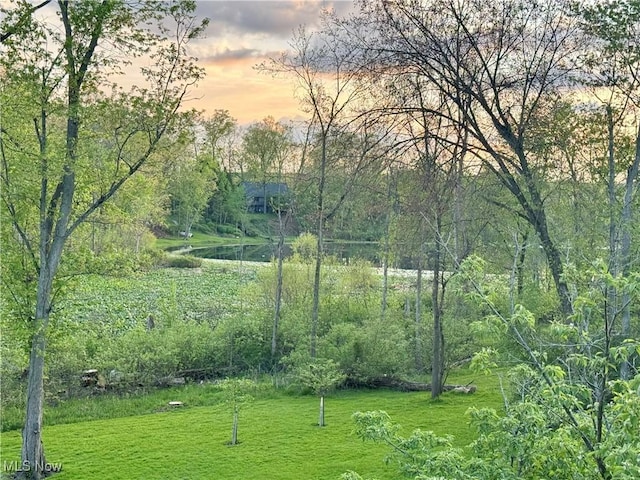 yard at dusk with a water view and a lawn
