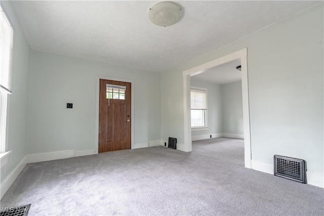 entrance foyer featuring carpet, healthy amount of natural light, and baseboards