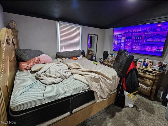 bedroom with carpet flooring