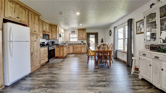 kitchen featuring freestanding refrigerator, stainless steel gas range oven, a sink, healthy amount of natural light, and a textured ceiling